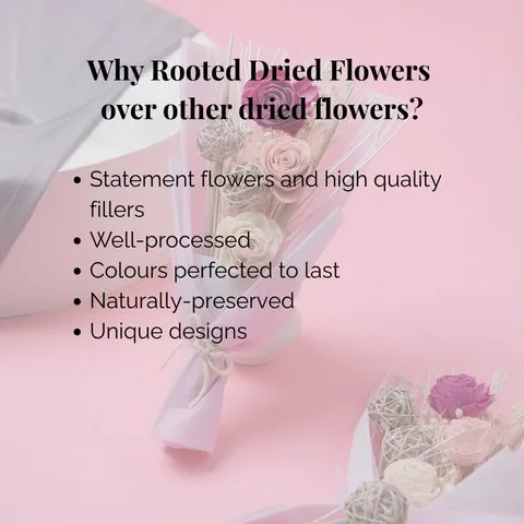 Rooted Pink Haze Dried Flowers Bouquet image 2