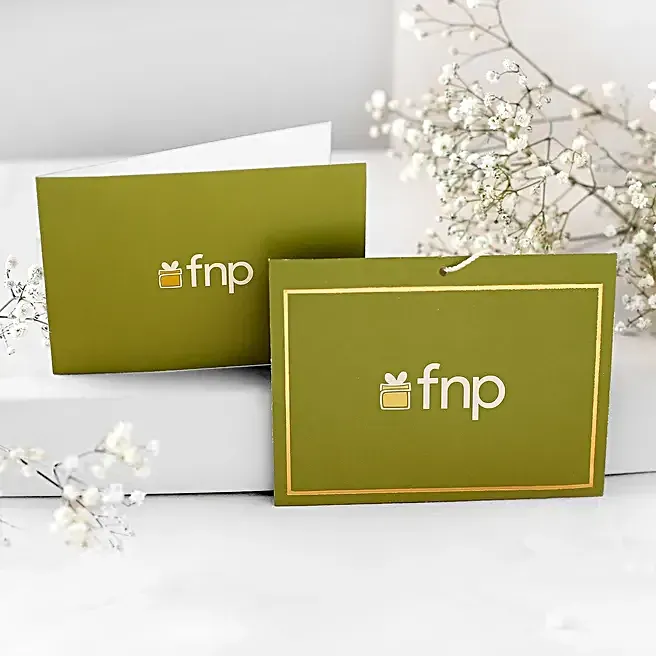 Vivid 12 Red Roses Bouquet image 1