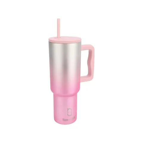 House of Quirk Insulated Solid Tumbler With Straw & Cleaner